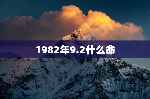 1982年9.2什么命
