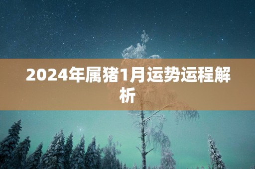 2025年属猪1月运势运程解析