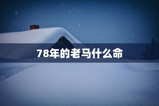 78年的老马什么命