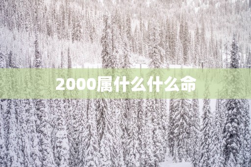 2000属什么什么命