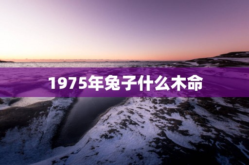 1975年兔子什么木命