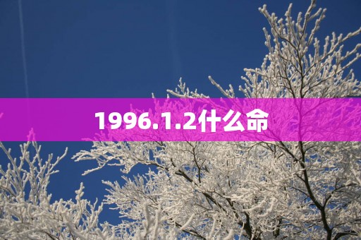 1996.1.2什么命