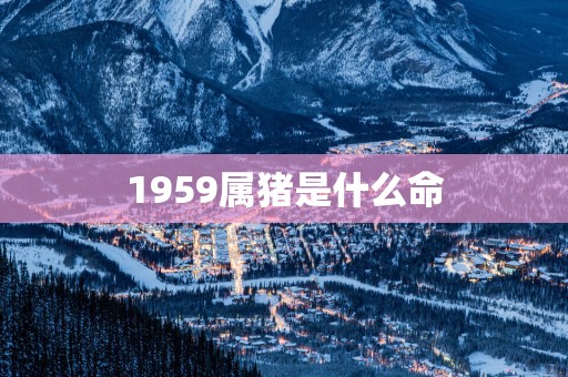 1959属猪是什么命