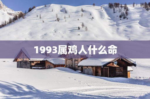 1993属鸡人什么命