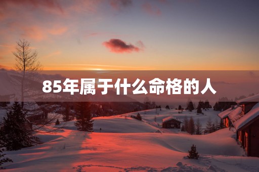 85年属于什么命格的人