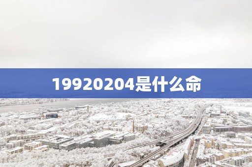 19920254是什么命