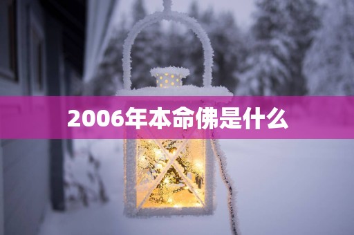 2006年本命佛是什么