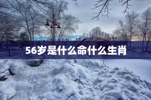 56岁是什么命什么生肖