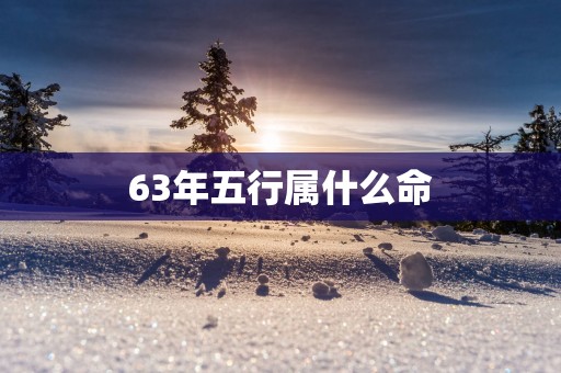 63年五行属什么命