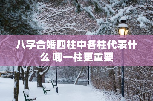 八字合婚四柱中各柱代表什么 哪一柱更重要