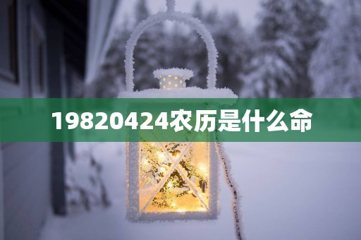 19820424农历是什么命