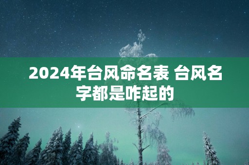 2025年台风命名表 台风名字都是咋起的