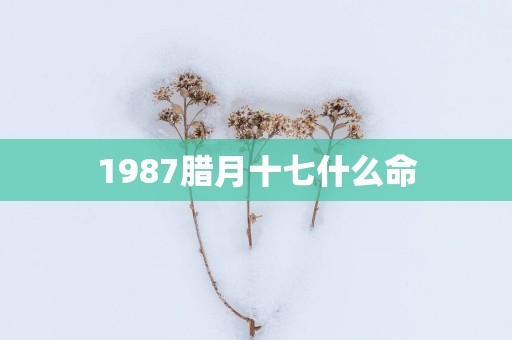 1987腊月十七什么命