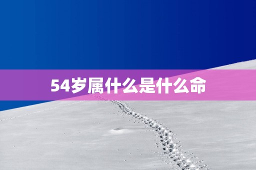 54岁属什么是什么命