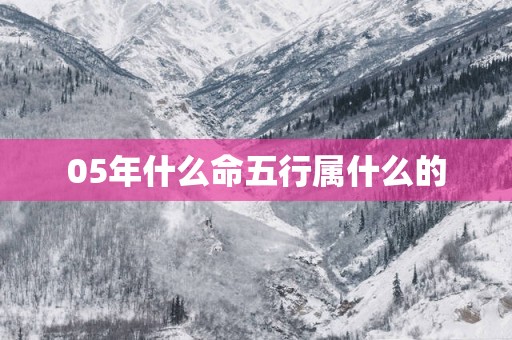 05年什么命五行属什么的