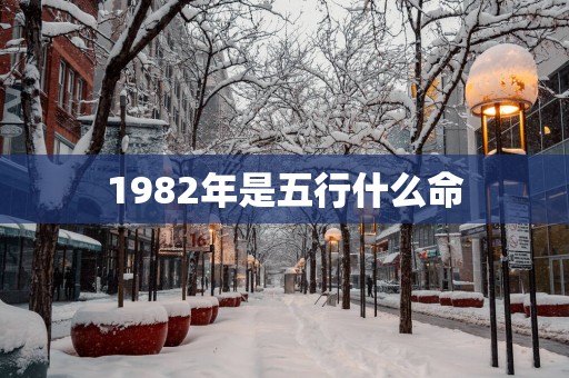 1982年是五行什么命