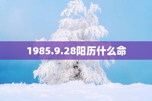 1985.9.28阳历什么命
