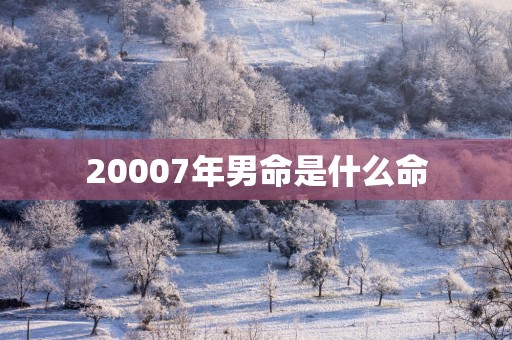 20007年男命是什么命
