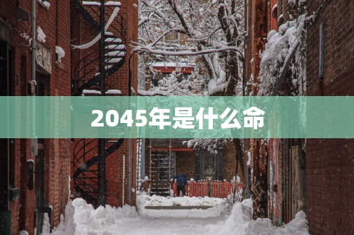 2045年是什么命