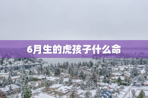 6月生的虎孩子什么命