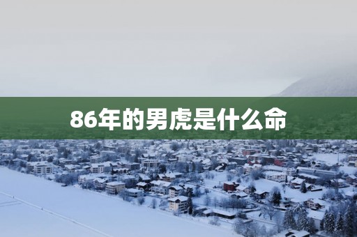86年的男虎是什么命