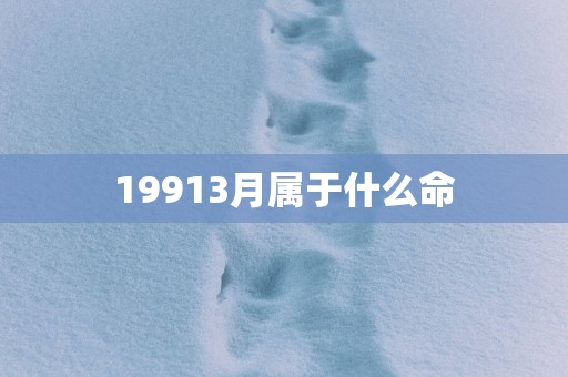 19913月属于什么命