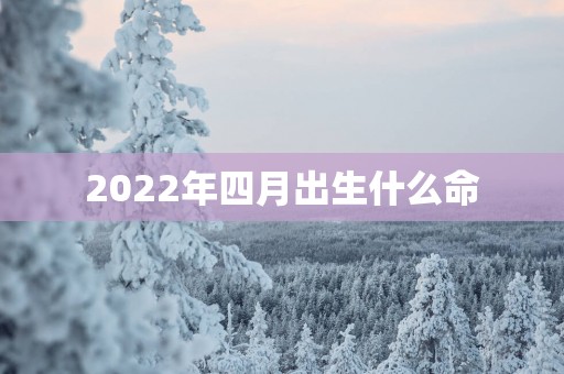 2025年四月出生什么命
