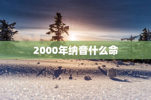 2000年纳音什么命