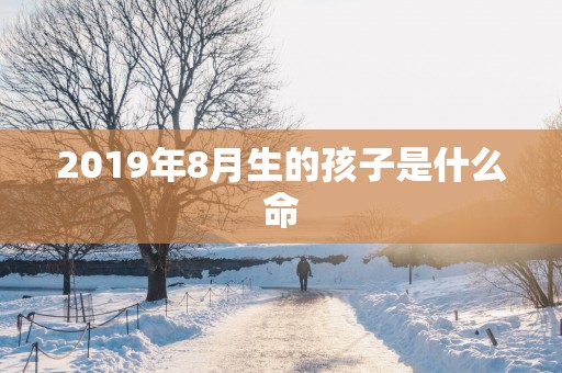 2019年8月生的孩子是什么命