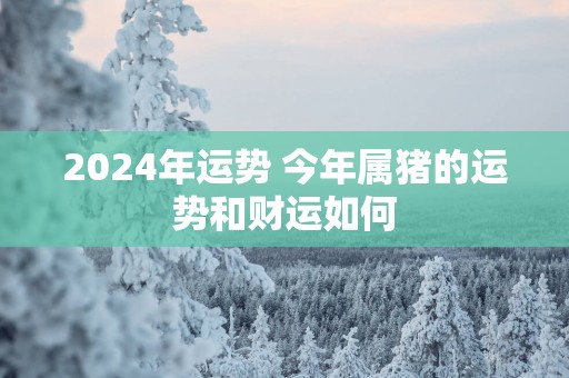 2025年运势 今年属猪的运势和财运如何