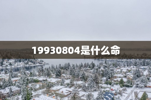 19930804是什么命