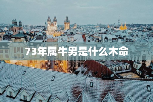 73年属牛男是什么木命