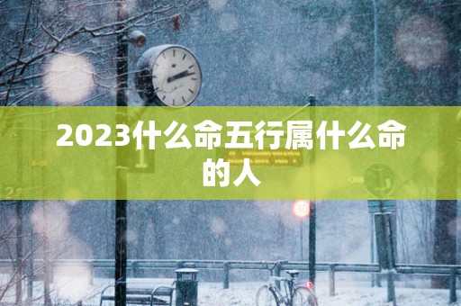 2025什么命五行属什么命的人