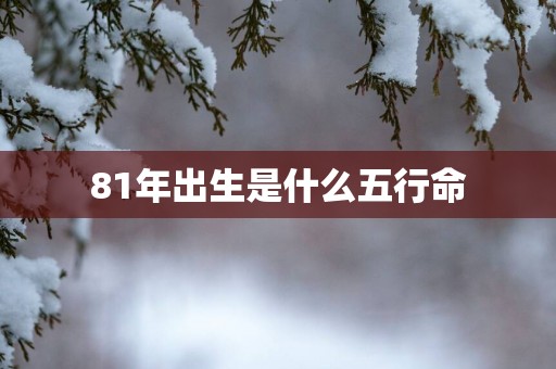 81年出生是什么五行命