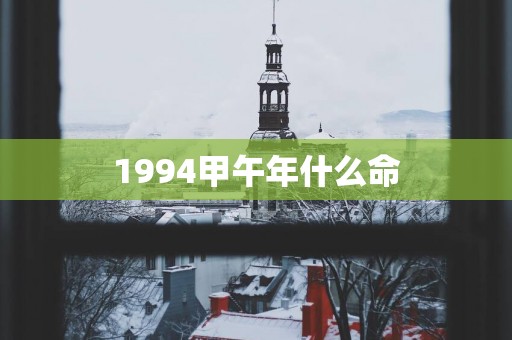 1994甲午年什么命