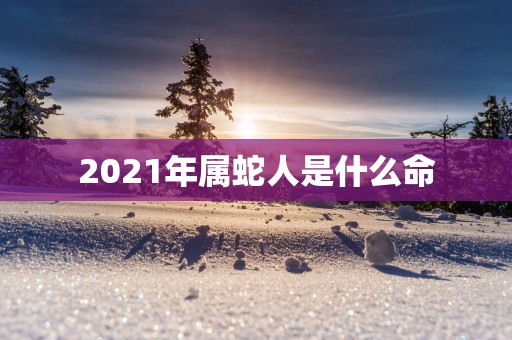 2025年属蛇人是什么命