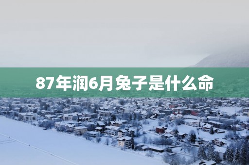87年润6月兔子是什么命