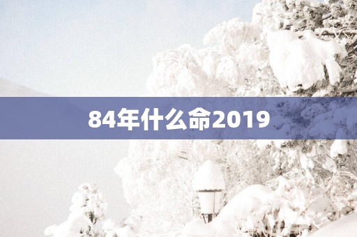 84年什么命2019