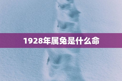 1928年属兔是什么命