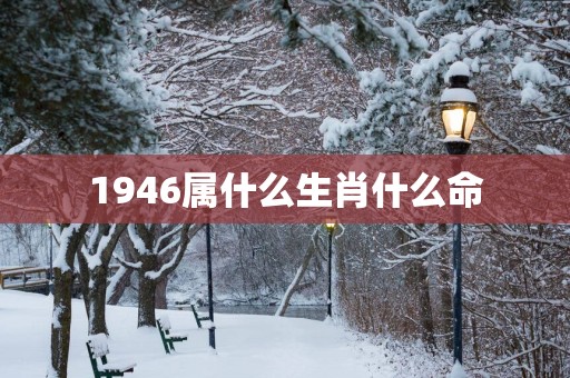 1946属什么生肖什么命