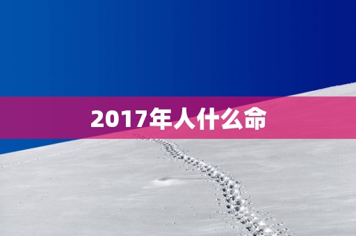 2017年人什么命