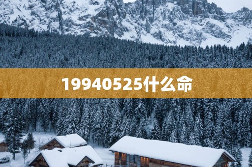 19940525什么命