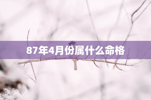 87年4月份属什么命格