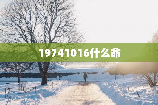 19741016什么命