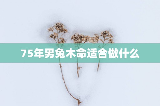 75年男兔木命适合做什么