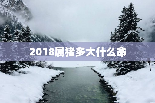 2018属猪多大什么命