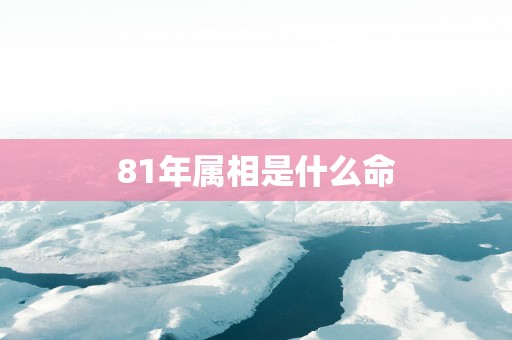 81年属相是什么命