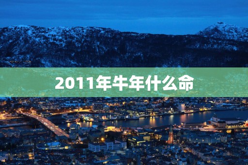 2011年蛇年什么命