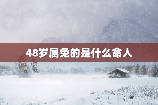 48岁属兔的是什么命人