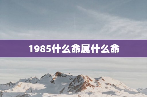 1985什么命属什么命